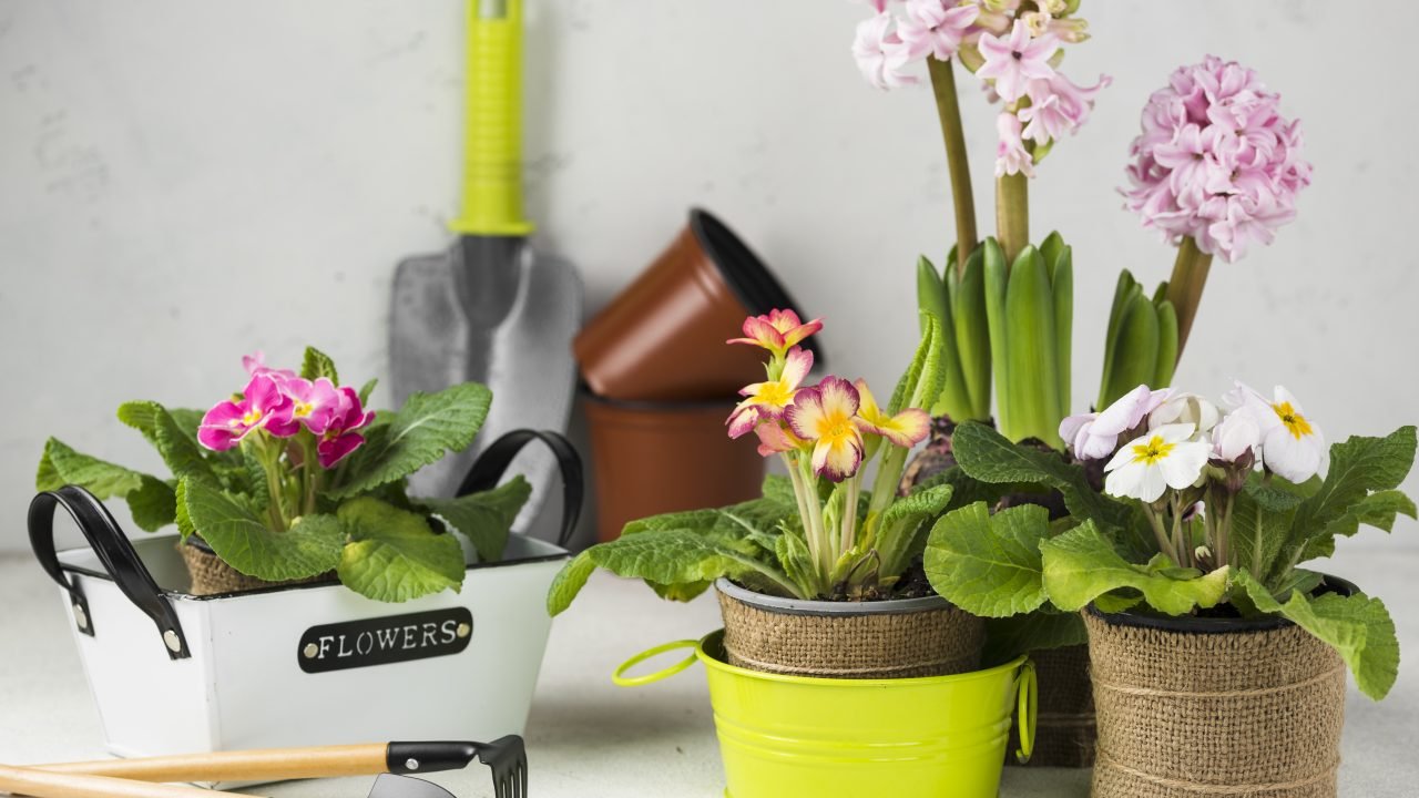 Home & Garden